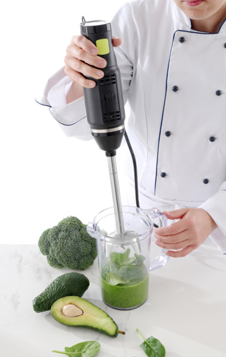 Stabmixer Kunststoffgehäuse mit festem Mixstab