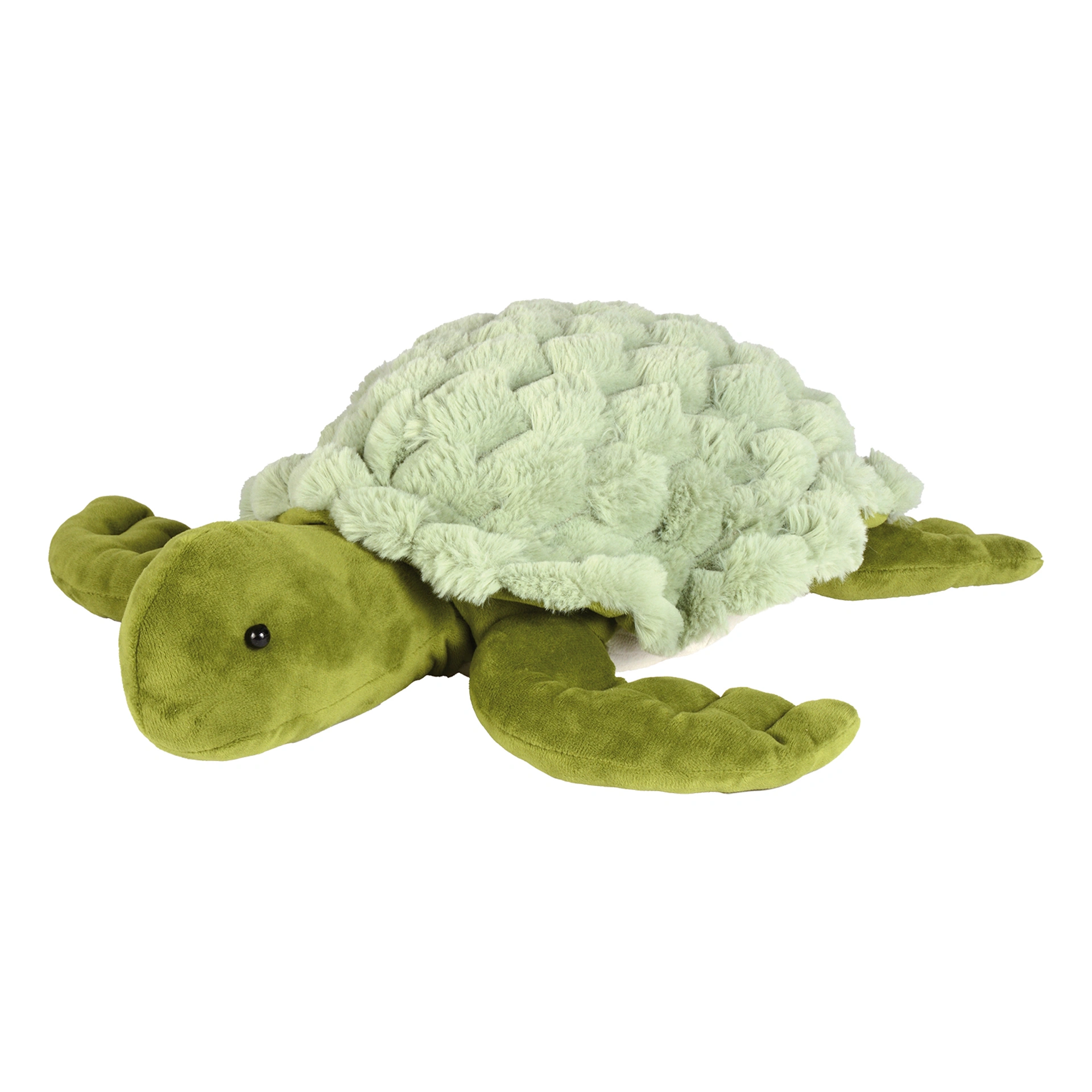 Gewichtstier Schildkröte Siegfried 1,6 kg